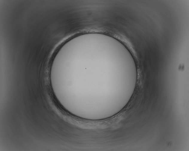 X0000096660012200802051230