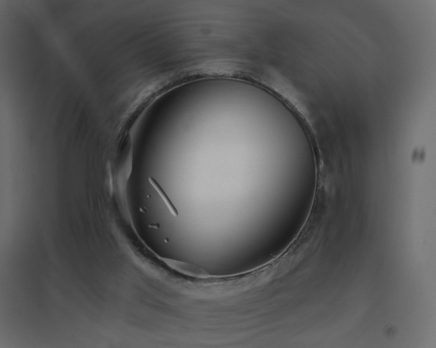 X0000096660013200802051230