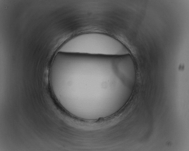 X0000096660014200802051230