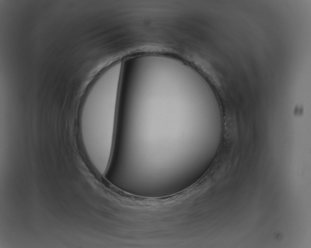 X0000096660015200802051230