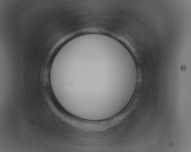 X0000096660016200802051230