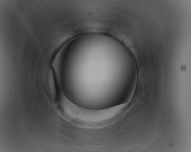 X0000096660017200802051230