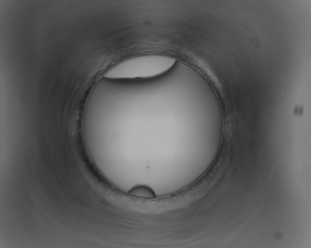 X0000096660018200802051230