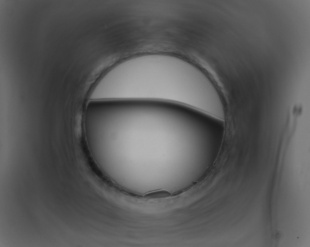 X0000096660019200802051230