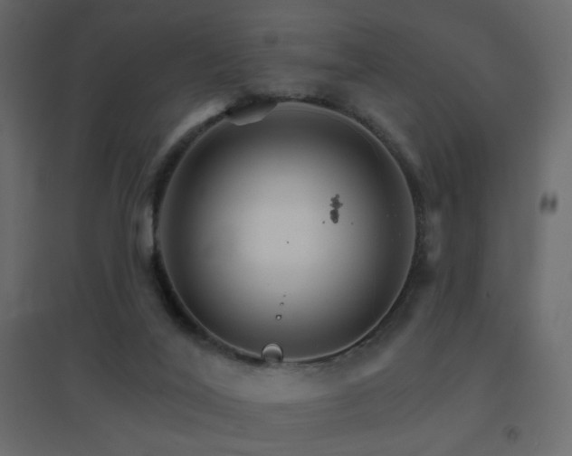 X0000096660020200802051230