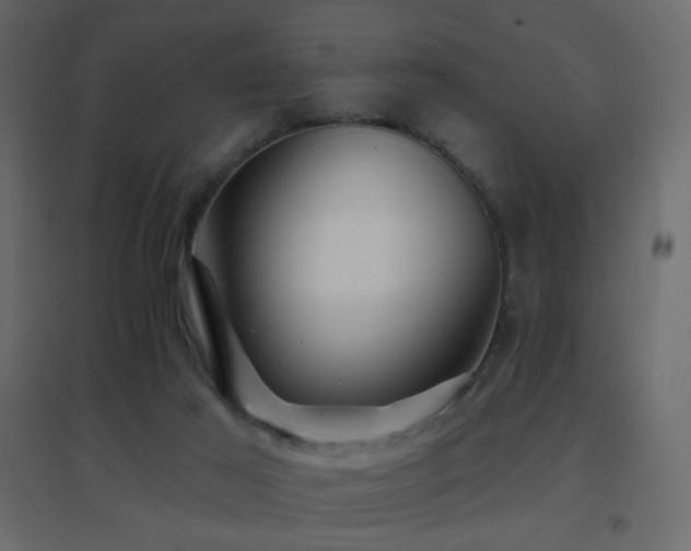 X0000096660021200802051230