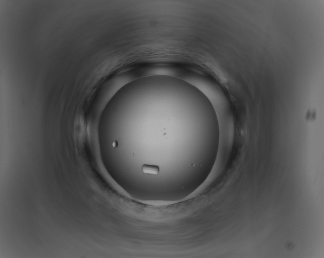 X0000096660022200802051230