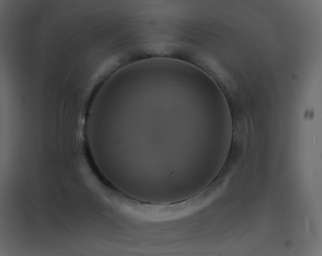 X0000096660023200802051230