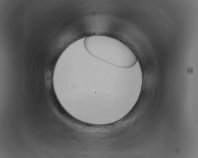 X0000096660024200802051230