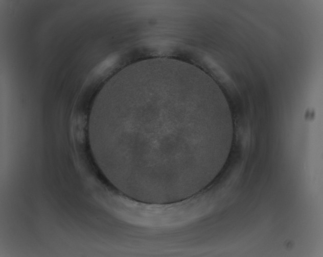 X0000096660026200802051230