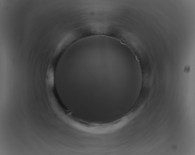 X0000096660027200802051230