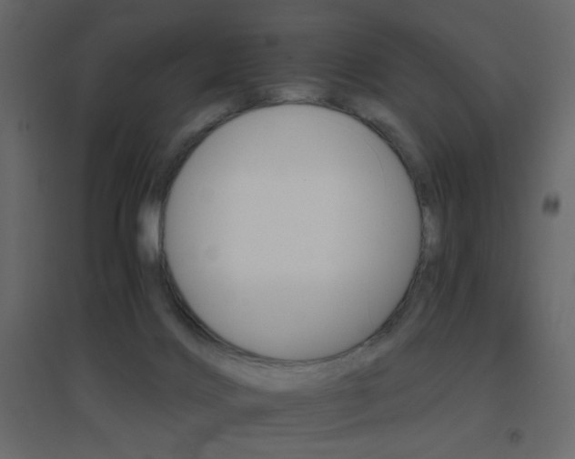 X0000096660028200802051230