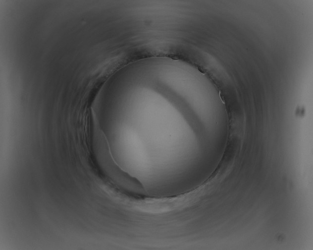 X0000096660029200802051230