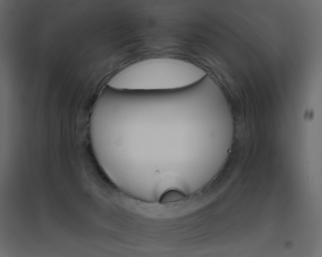 X0000096660030200802051230