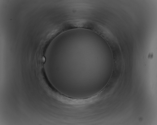 X0000096660031200802051230