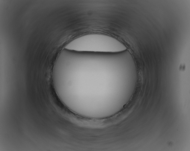 X0000096660032200802051230