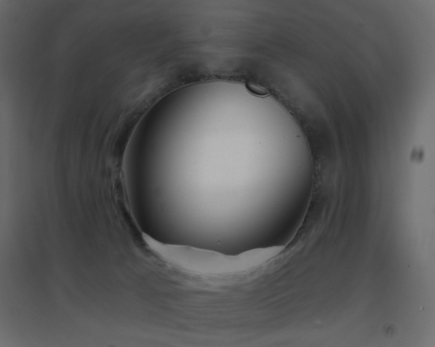 X0000096660033200802051230