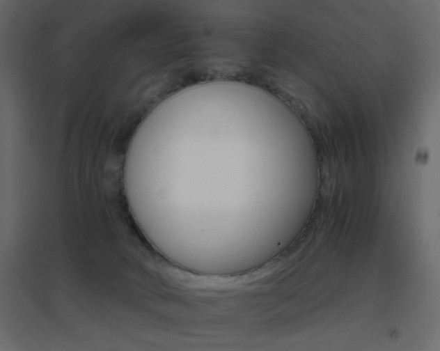 X0000096660034200802051230