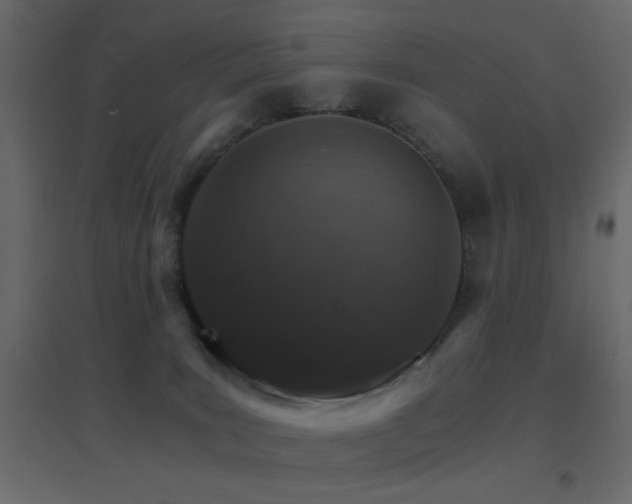 X0000096660035200802051230