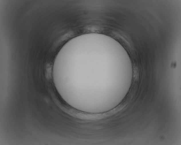 X0000096660036200802051230