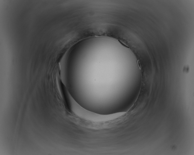 X0000096660037200802051230