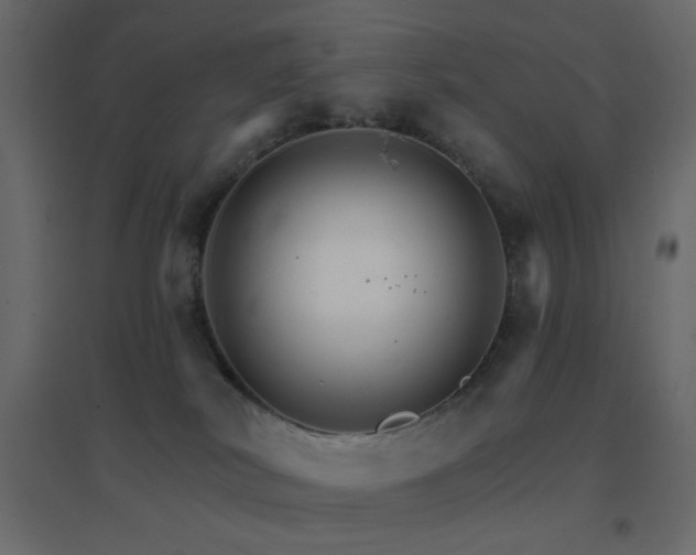 X0000096660038200802051230