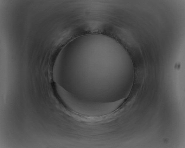 X0000096660039200802051230