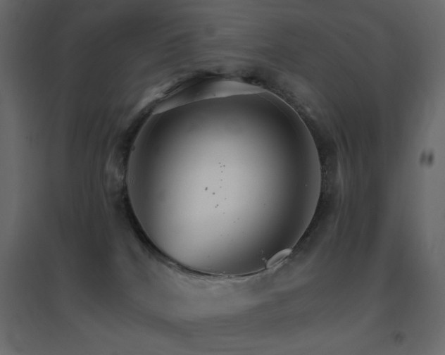 X0000096660040200802051230