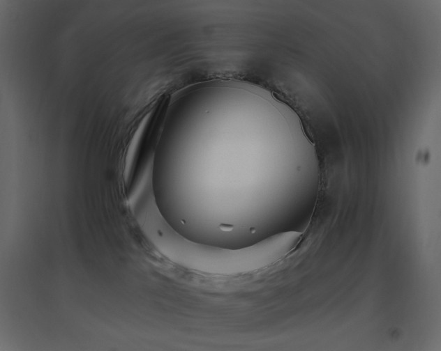 X0000096660041200802051230