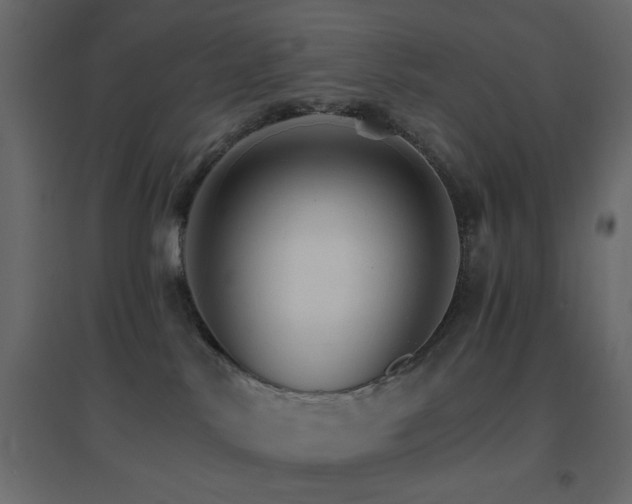 X0000096660042200802051230