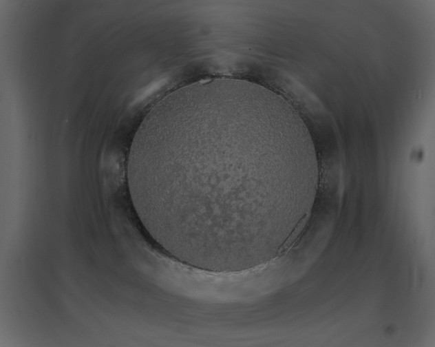 X0000096660043200802051230