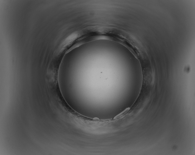 X0000096660044200802051230