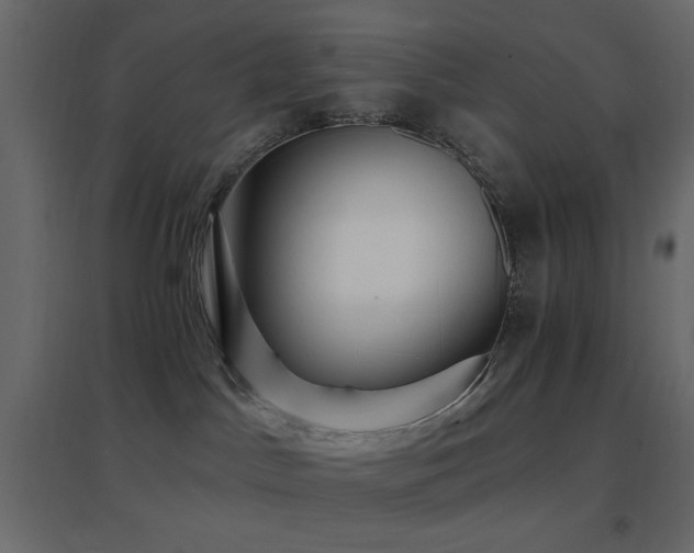 X0000096660045200802051230