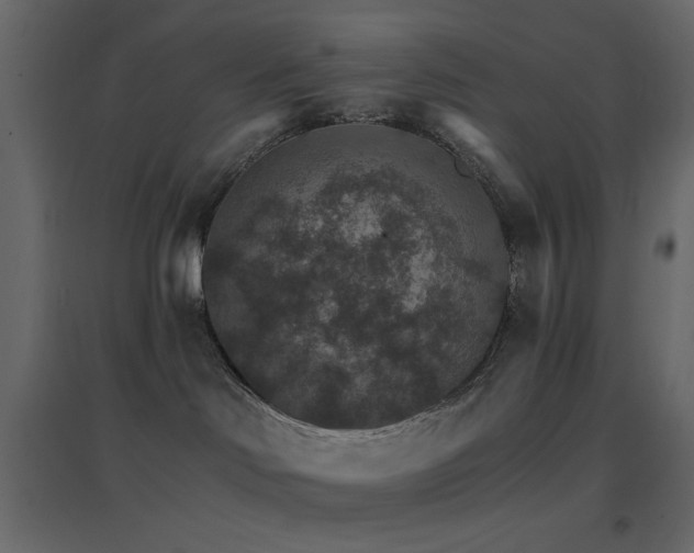 X0000096660046200802051230