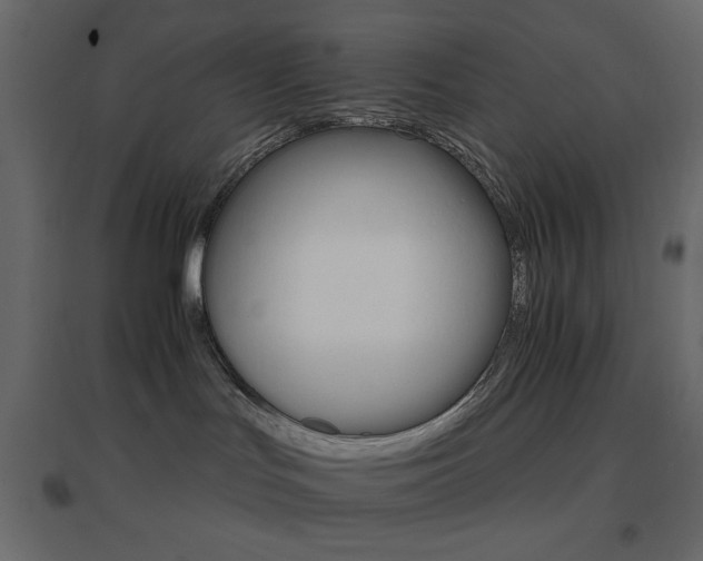 X0000096660047200802051230