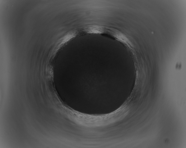 X0000096660048200802051230