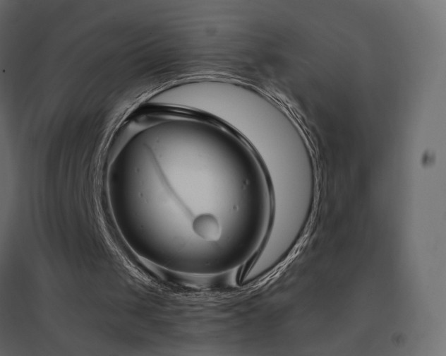 X0000096660049200802051229