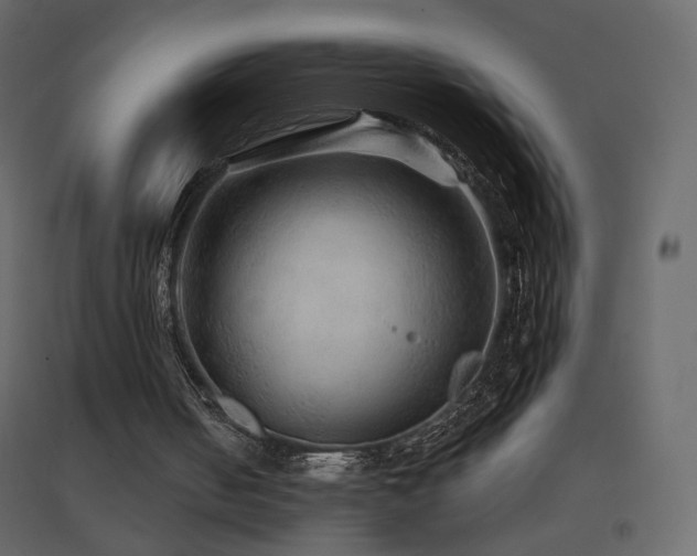 X0000096660050200802051229