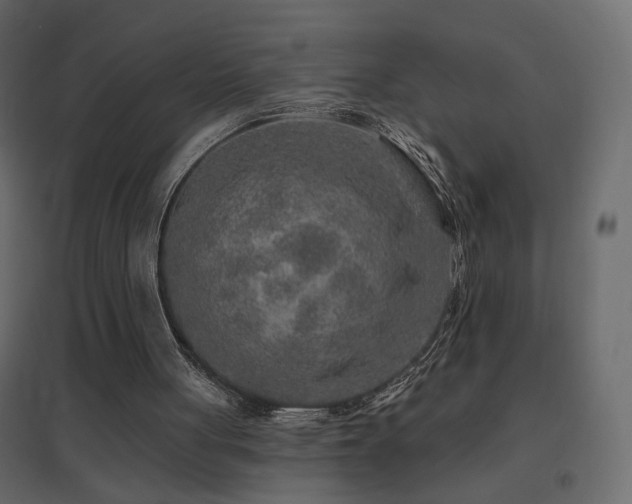 X0000096660051200802051229