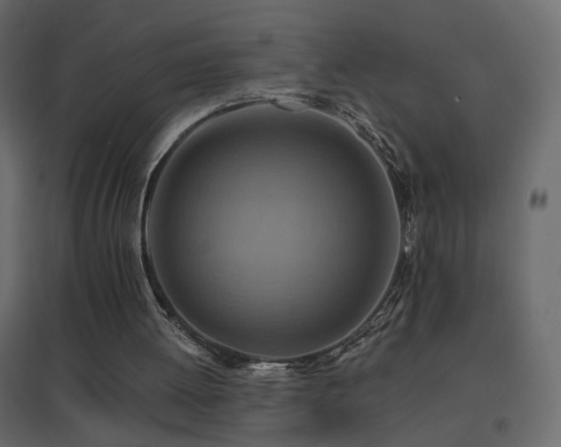 X0000096660052200802051229