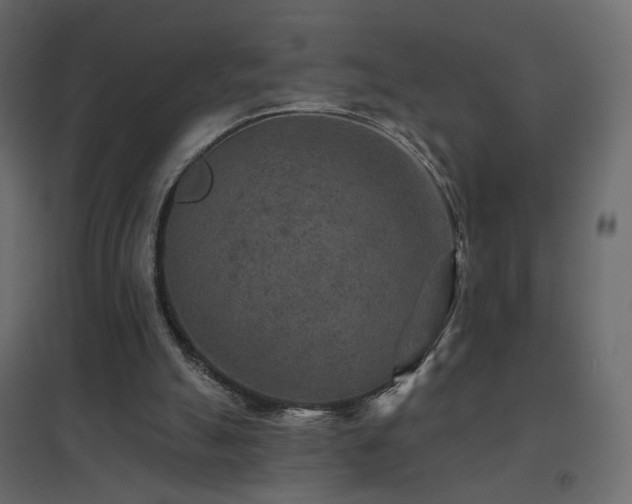 X0000096660055200802051229