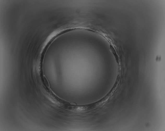 X0000096660056200802051229