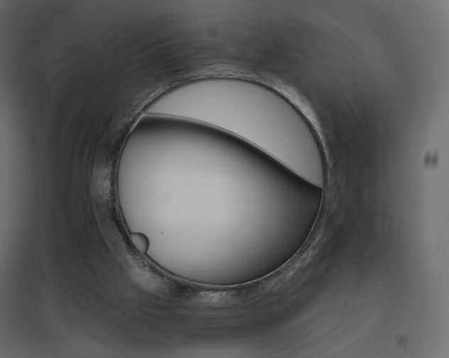 X0000096660057200802051229