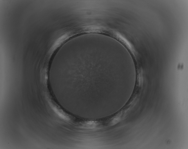 X0000096660059200802051229