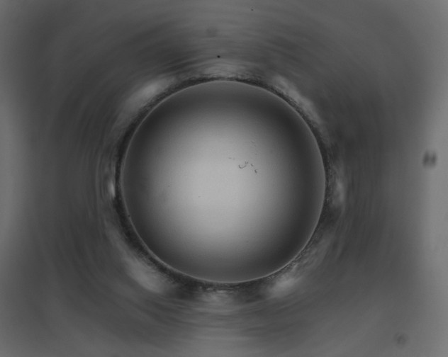 X0000096660062200802051229