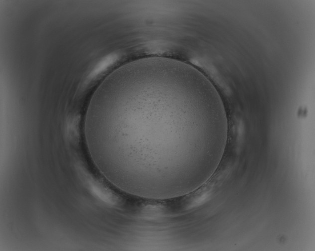 X0000096660066200802051229