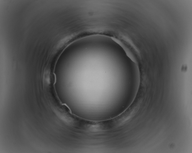 X0000096660068200802051229