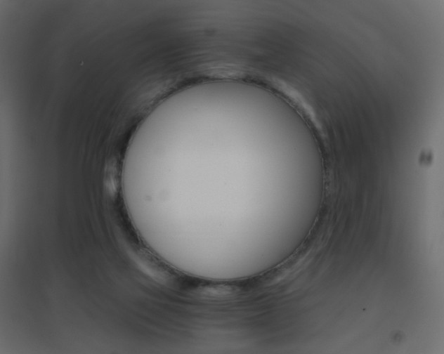 X0000096660069200802051229