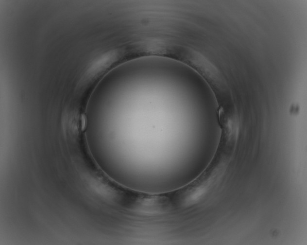 X0000096660072200802051229