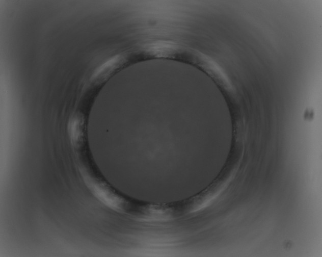 X0000096660073200802051229